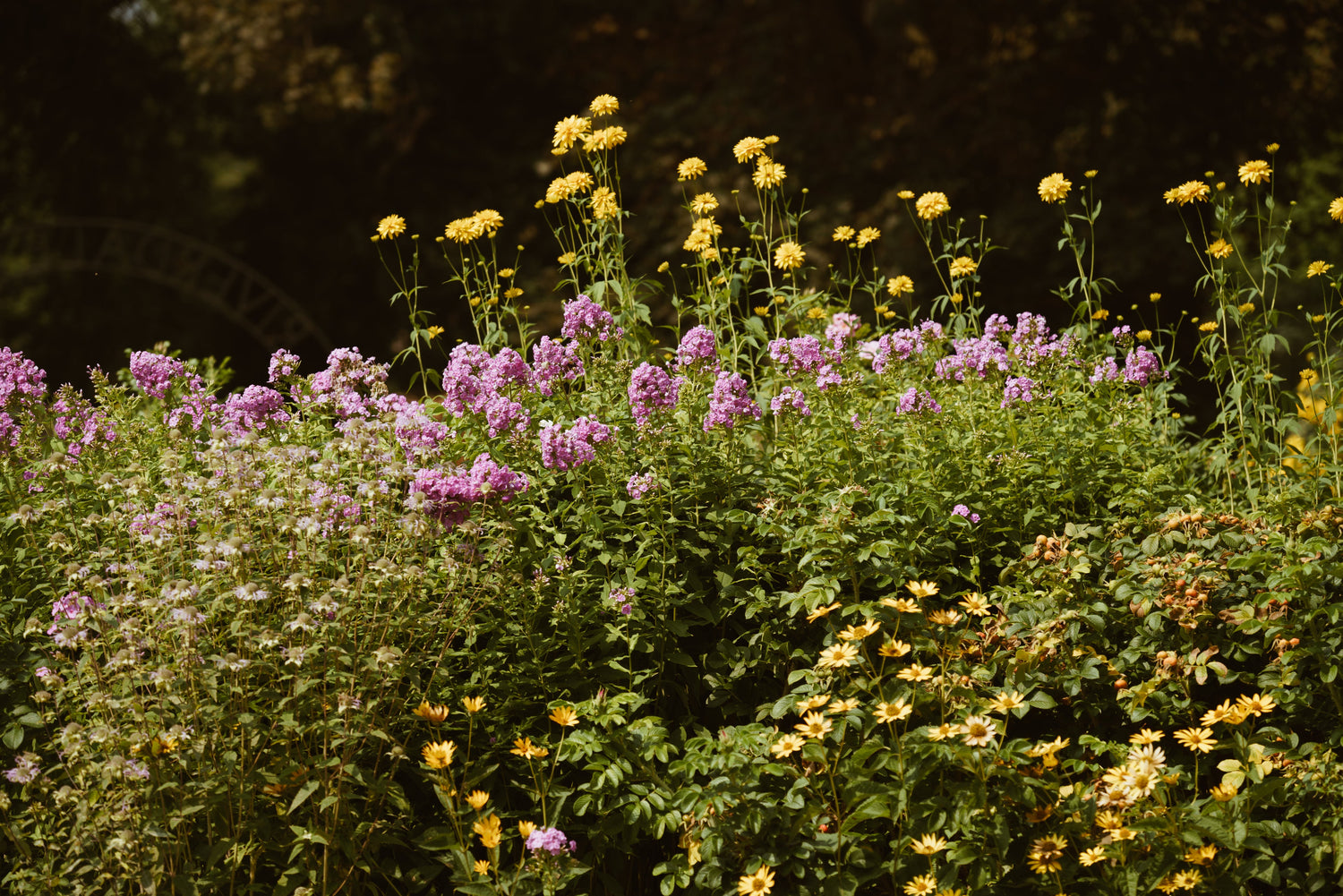 Herbs and Botanical Items